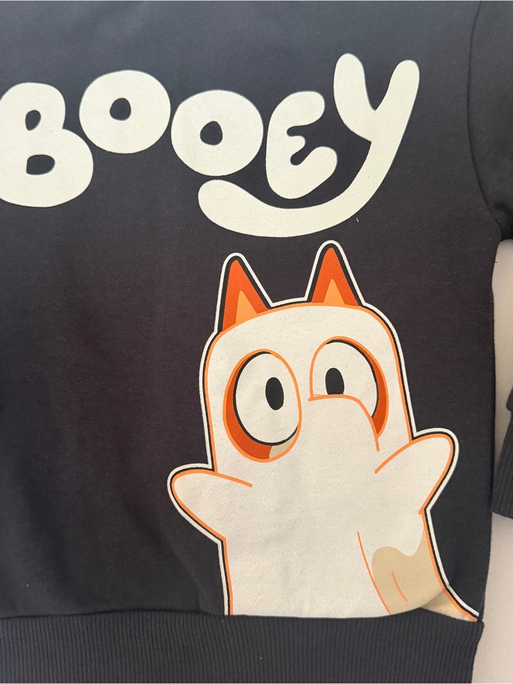 Bluey Halloween Glow In The Dark Sweatshirt Toddler 2T NWT - Picture 9 of 9